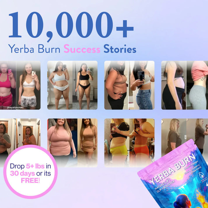 Instant Yerba Mate Energy Powder™